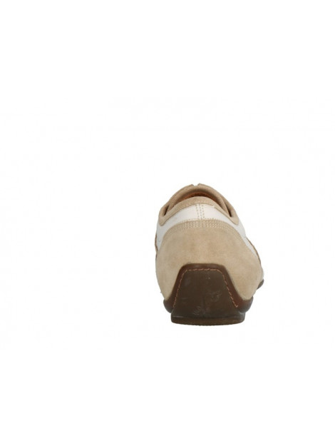 Lorenzi 6043 6043 large