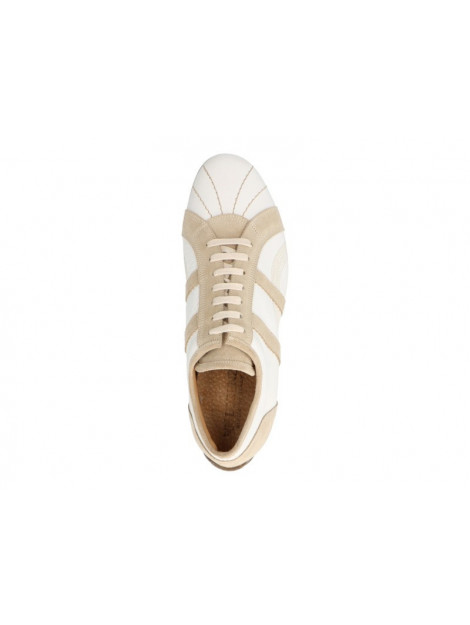 Lorenzi 6043 6043 large