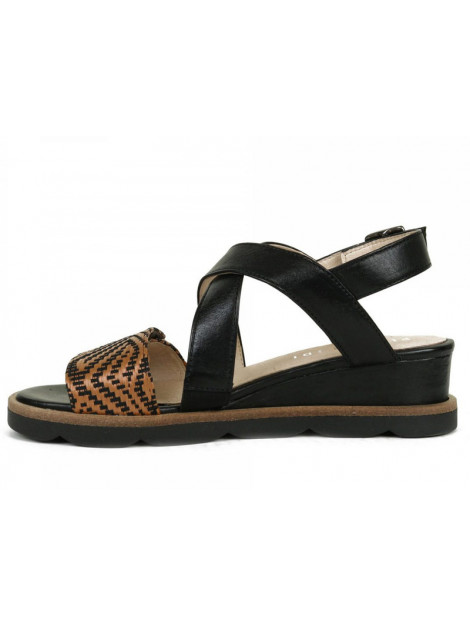 Piedi Nudi C2392 Sandalen Zwart C2392 large
