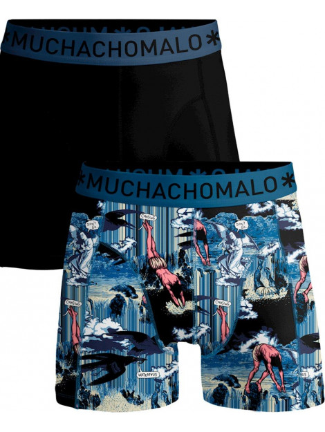 Muchachomalo Boxer Waterfall waterfall1010-06 large