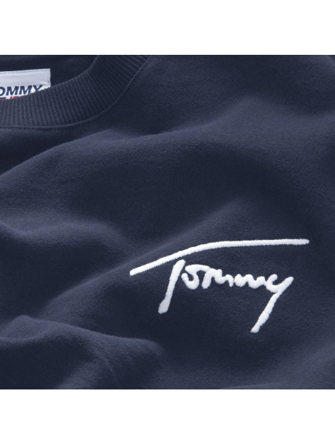 Tommy Hilfiger Signature crew sweater DM0DM15206-C87-XL large