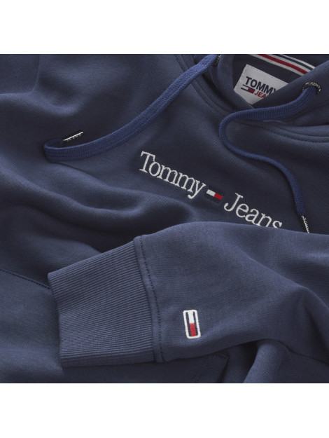 Tommy Hilfiger Reg serif linear hoodie DW0DW14362-C87-XL large