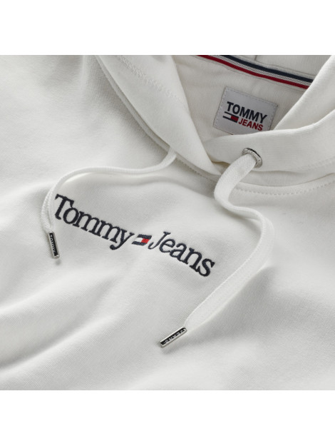 Tommy Hilfiger Reg serif linear hoodie DW0DW14362-YBL-M large