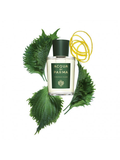 Acqua Di Parma  Colonia club edc 100 ml  Colonia Club EDC 100 ML  large