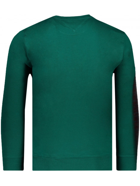 Tommy Hilfiger Sweater DM0DM15007 large