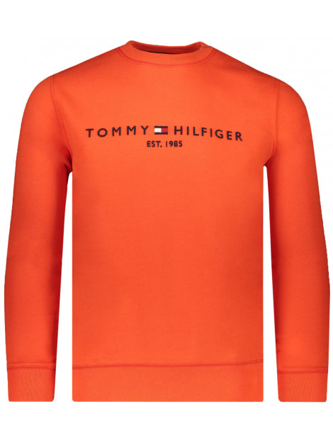 Tommy Hilfiger Sweater MW0MW11596 large