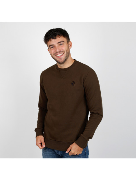 Q1905 Trui zaandijk chocolade QM2322914-833-1 large