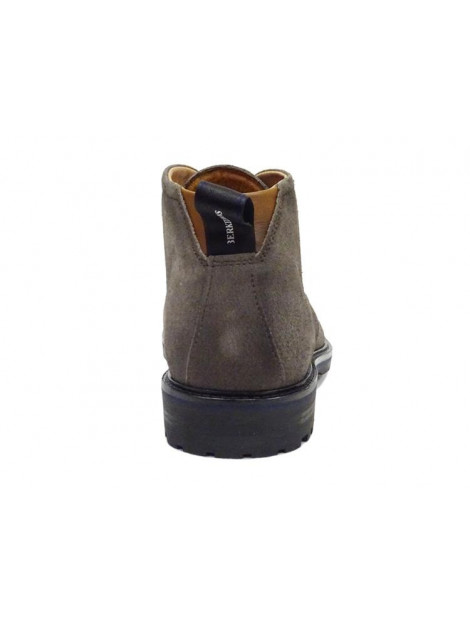 Berkelmans Tanaka Tanaka large