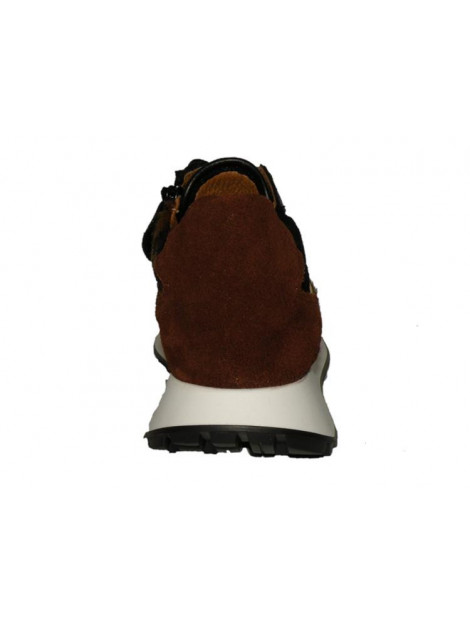 Develab 41716 41716 large