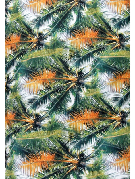 Gentile Bellini Tropical groen 3114 large