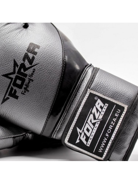 Forza articial boxing gloves antique silver - 051309_930-6 OZ large