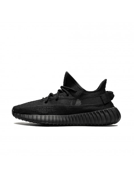 Adidas Boost 350 v2 onyx HQ4540 large