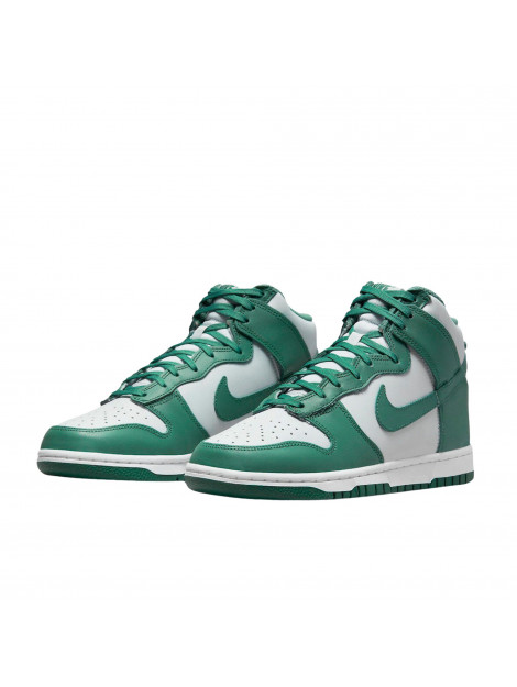 Nike Dunk high bicoastal DD1869-004 large