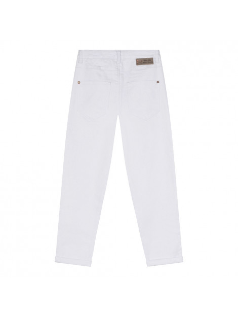 Indian Blue Ibgs23-2194  IBGS23-2194  large