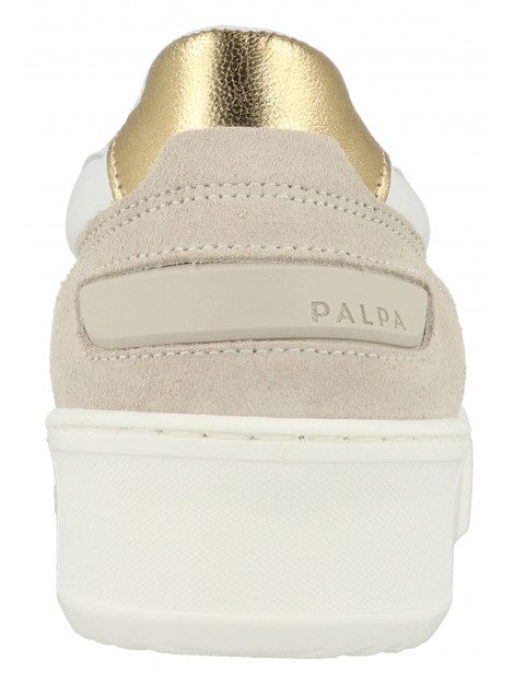 Palpa Jaciaro psn0042b-3104 PSN0042B large