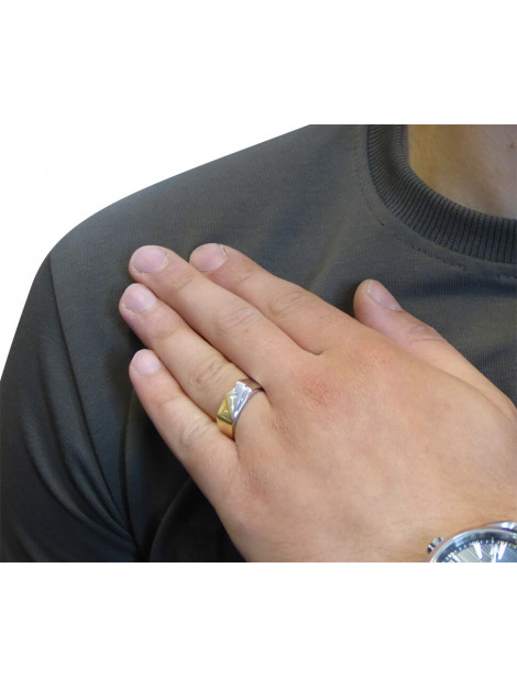 Christian Bicolor gouden cachet ring met reliëf I82956-5550JC large