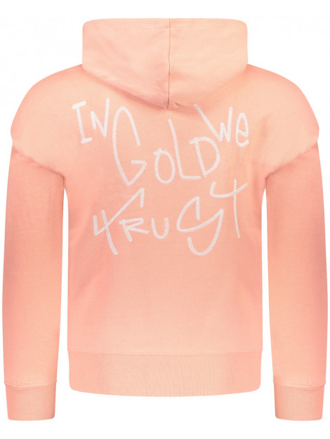 In gold we trust hoodie online oranje