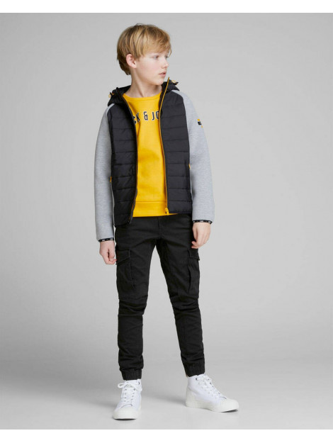 Jack & Jones Broek 12151646 jpstpaul Jack & Jones Junior Broek 12151646 JPSTPAUL large