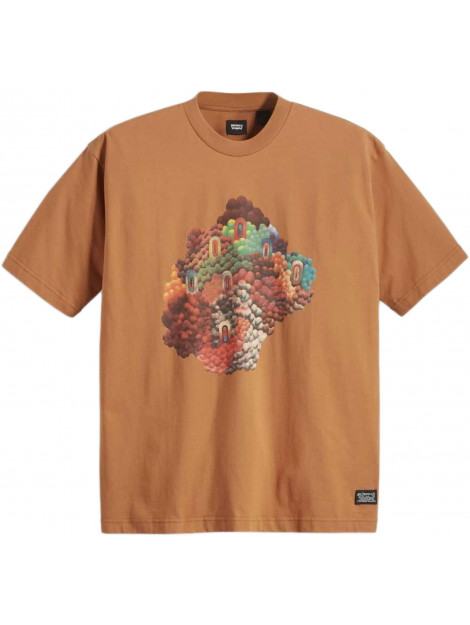 Levi's Skate graphic box tee multicolor brown A1005-012-50 large