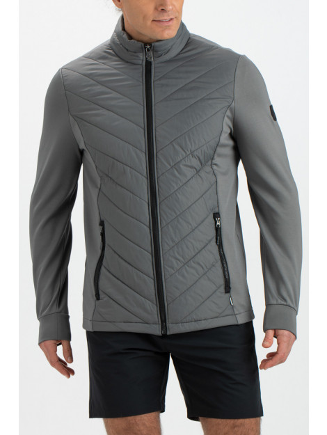Falcon Tarpo tarpo-g113 FALCON tarpo tarpo-g113 large Falcon Tarpo tarpo-g113 FALCON tarpo tarpo-g113 large