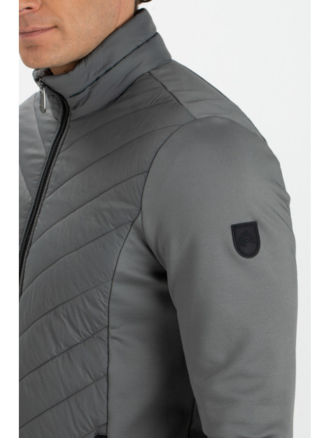 Falcon Tarpo tarpo-g113 FALCON tarpo tarpo-g113 large Falcon Tarpo tarpo-g113 FALCON tarpo tarpo-g113 large