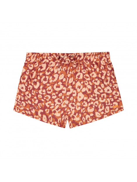 Shiwi 6423302960  6423302960  large