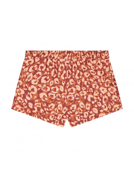 Shiwi 6423302960  6423302960  large