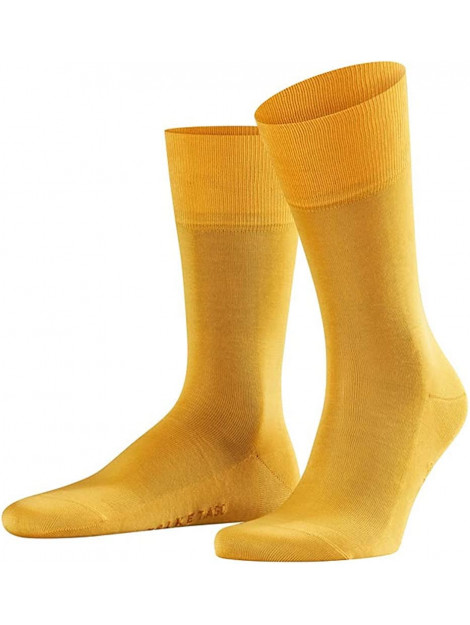 Falke 14792  14792  large