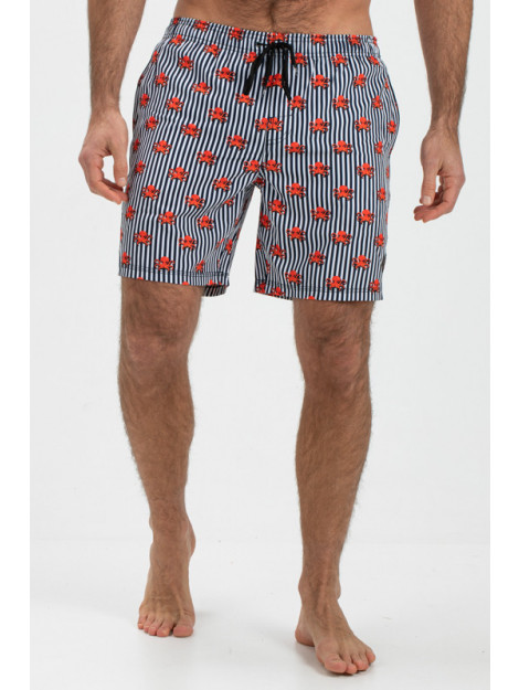 Falcon Dray-n112 dray n112 FALCON Dray-N112 dray n112 large