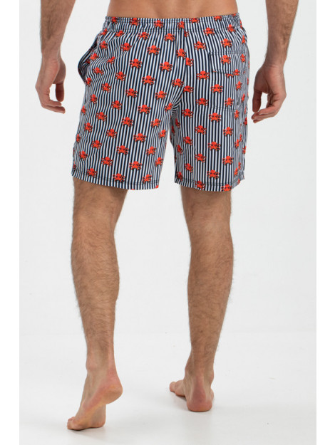 Falcon Dray-n112 dray n112 FALCON Dray-N112 dray n112 large