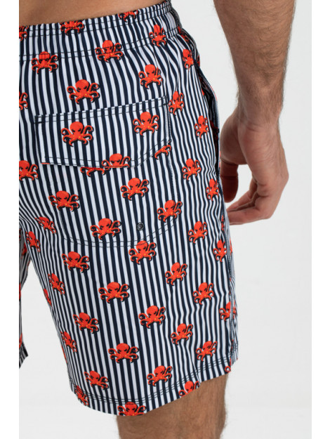 Falcon Dray-n112 dray n112 FALCON Dray-N112 dray n112 large