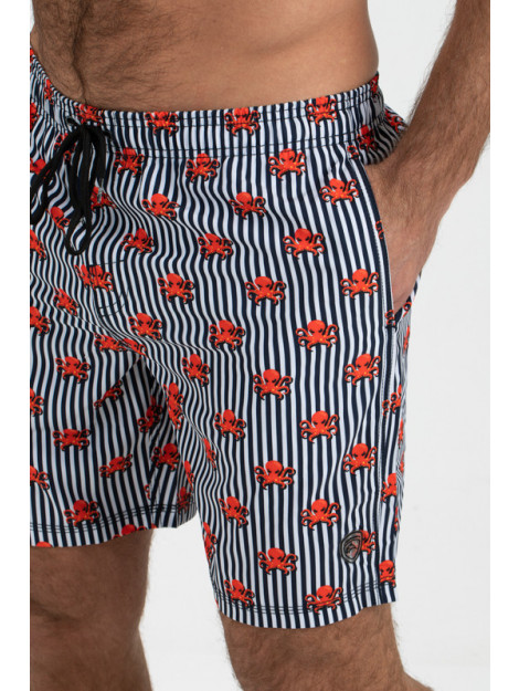 Falcon Dray-n112 dray n112 FALCON Dray-N112 dray n112 large