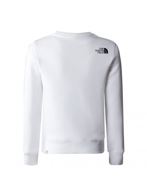 The North Face Redbox crew 2323.10.0002-10 large