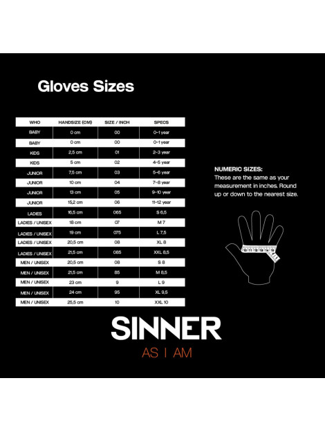 Sinner Everest glove 032012_995-9 large