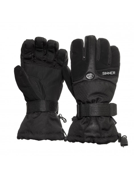 Sinner Everest glove 032012_995-8 large