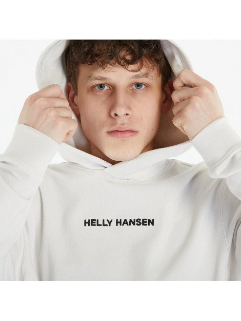 Helly Hansen Core graphic sweat 2363.05.0015-05 large