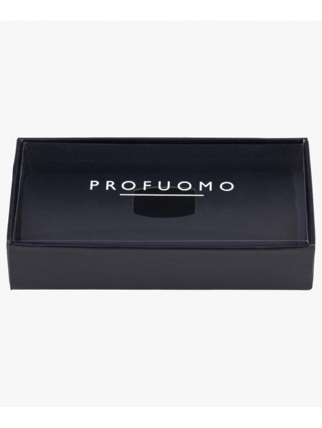 Profuomo Pp5v00001  PP5V00001  large
