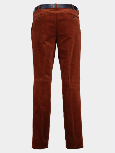 F043 Ribbroek corduroy 2060.1.11.193/546 169857 large