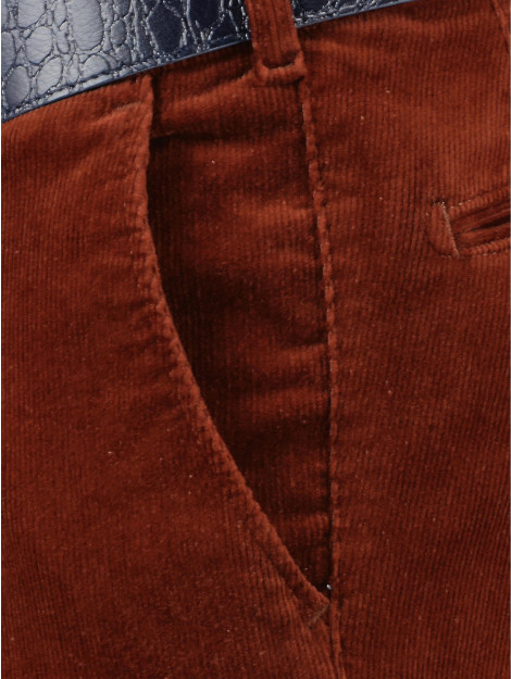 F043 Ribbroek corduroy 2060.1.11.193/546 169857 large