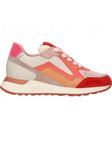 Piedi Nudi 2507 Sneakers Oranje 2507 large