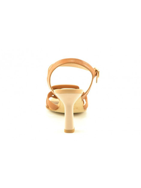 Zinda 1749-s 1749-s large