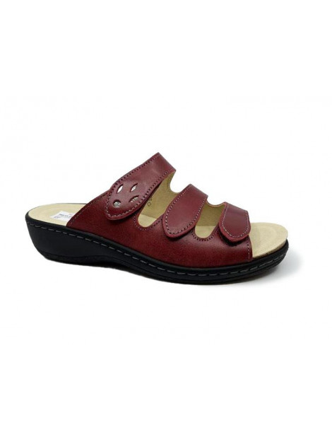 Longo 1011997 1011997 large