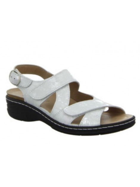 Longo 1048366 1048366 large