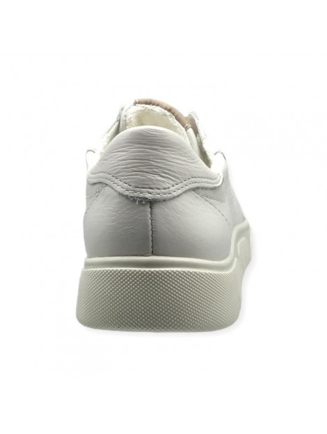 Ara 12-24488 12-24488 ROM large