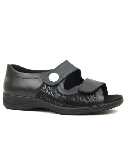 Solidus 73501 73501 Lia large