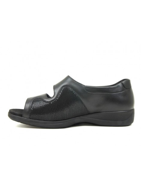 Solidus 73501 73501 Lia large