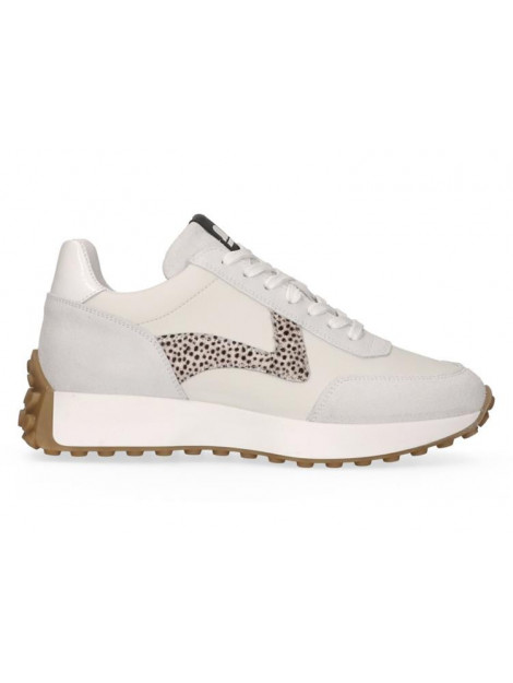 Maruti 66.1641.01 66.1641.01 large