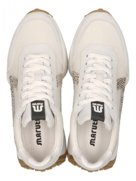 Maruti 66.1641.01 66.1641.01 large