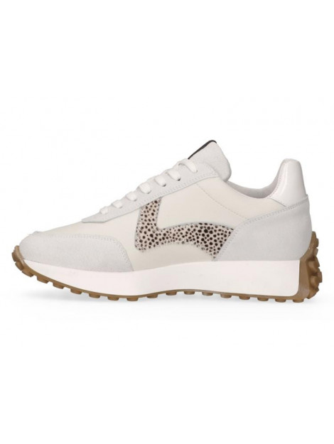 Maruti 66.1641.01 66.1641.01 large