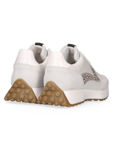 Maruti 66.1641.01 66.1641.01 large